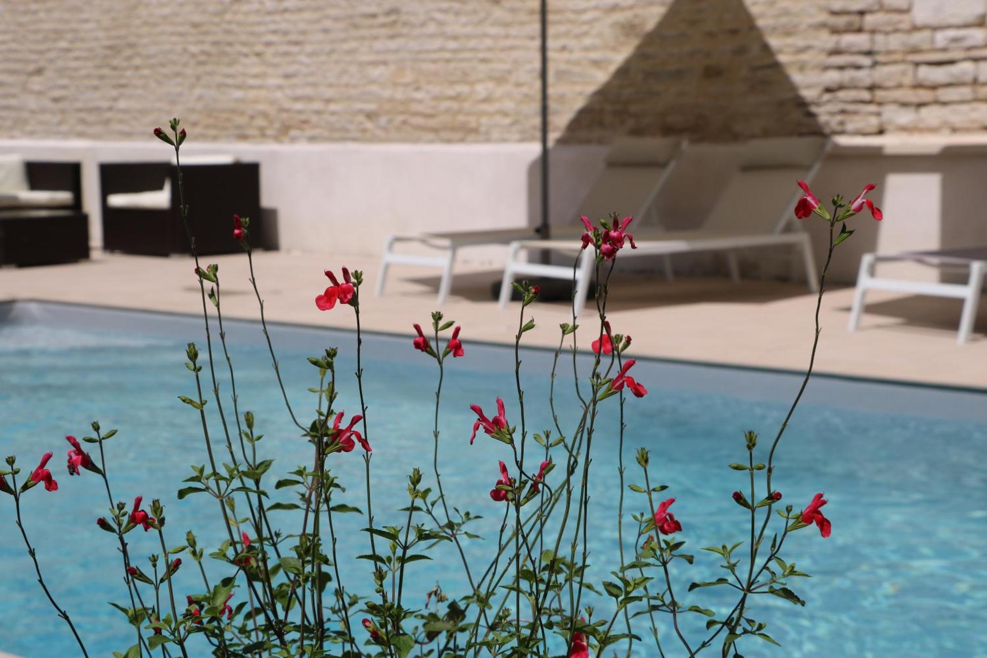 La Villa Lombardi En Champagne, Avec Piscine Privee Et Jacuzzi Les Riceys Εξωτερικό φωτογραφία